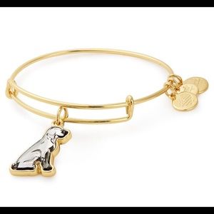 Alex and Ani Crystal Dog Bracelet